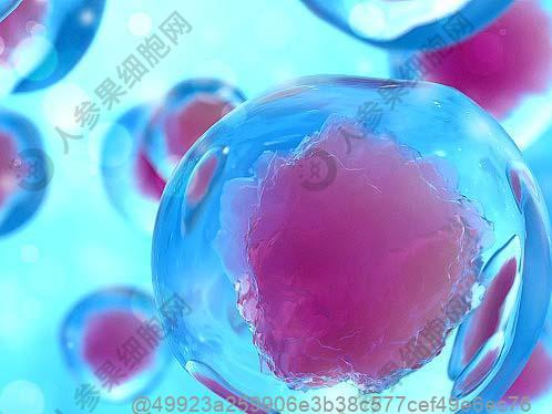 打干细胞多少费用一次？海南哪家医院能打干细胞，静脉回输干细胞多少钱