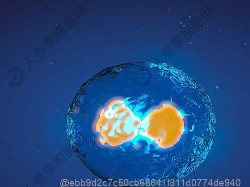 吃浙江茭白没问题吧？打了干细胞不能吃的蔬菜及替代菜​