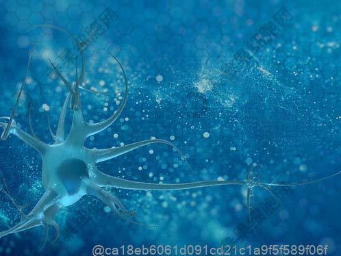 干细胞一次多少钱？河北打一次干细胞费用多少，干细胞医院在哪里