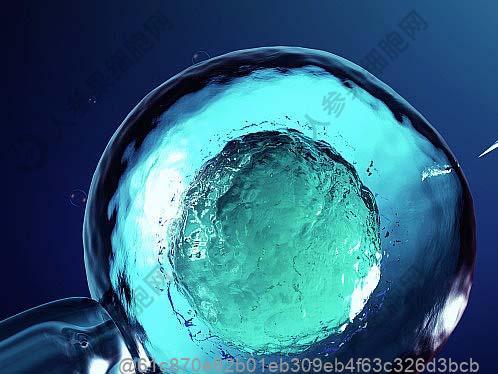 脂肪肝饮食禁忌食谱一览表