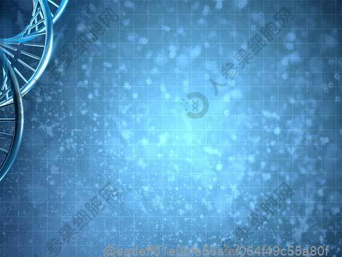 做完干细胞可以吃哪些清炒空心菜类蔬菜？补充叶酸的术后蔬菜搭配​