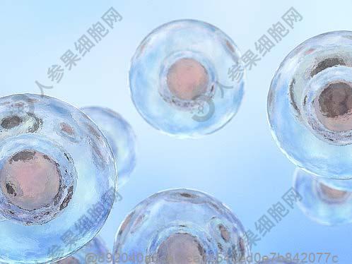 干细胞回输后不能吃什么？易胀气的地域特色食物​