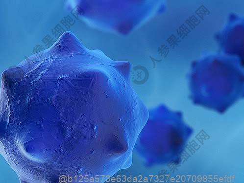 回输干细胞的注意事项为这些，地域食材寒热搭配表​