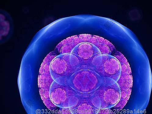 哪种水果对干细胞治疗后更有益？云南人参果低糖，糖尿病患者术后也能吃​