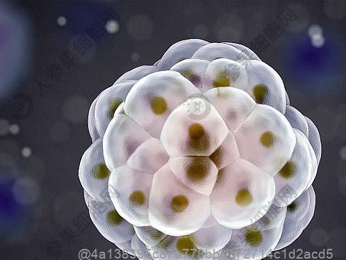 结节病什么原因引起的