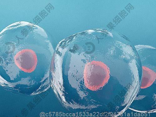 打干细胞不能吃四川达州灯影牛肉丝吗？腌制肉食术后禁忌​