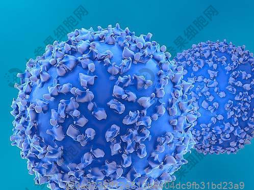 什么叫弱精症综合症