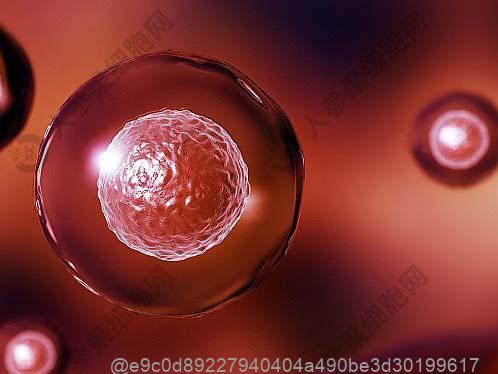 肝功能检查一氧化氮下降