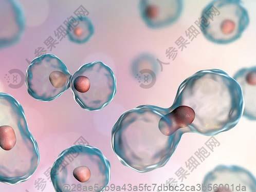 检查肺部ct正常 但是一直干咳胸闷