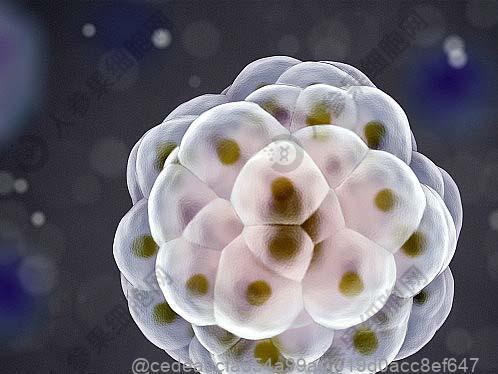 轻度肺炎可以自愈吗