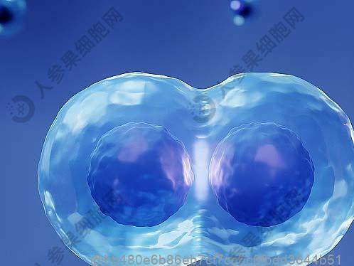 先天性复杂性心脏病