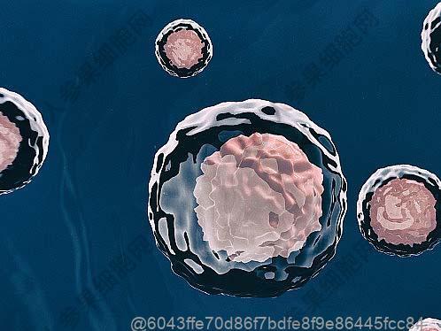踝关节炎是什么