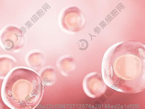 肘关节炎是什么情况