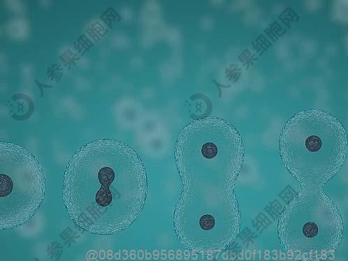 妊娠期有甲亢怎么治疗