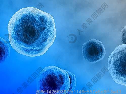 关节炎挂哪个科