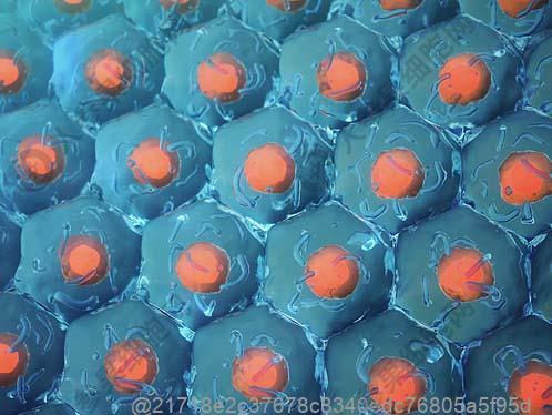 肺结核能治愈吗