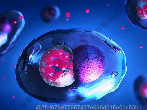 女人得了甲亢容不容易治疗