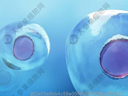 冠心病喝什么茶好