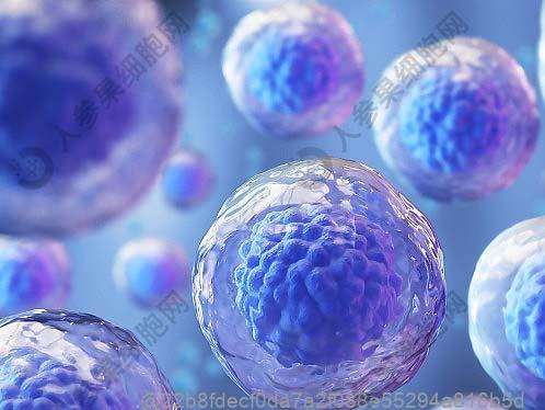 脑萎缩是血管阻塞吗