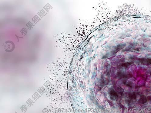 肿瘤标志物是哪7项检查