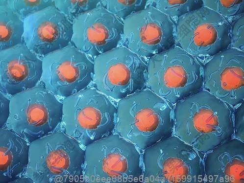 冠心病适合什么运动