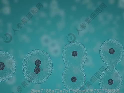 hpv第三针可推后多久