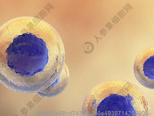 腿时常浮肿是什么原因