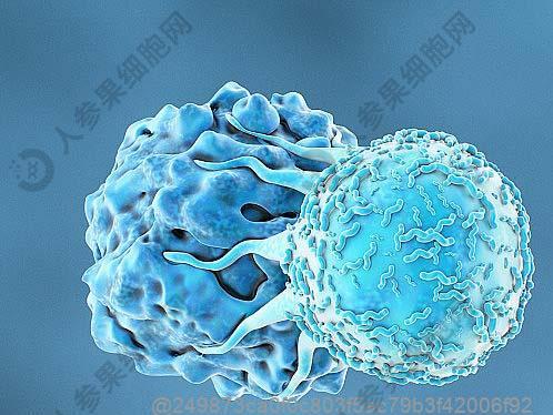 混合型高血脂症饮食管理