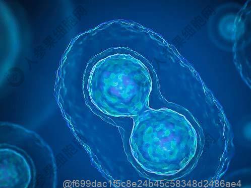 儿童脑萎缩是脑瘫吗