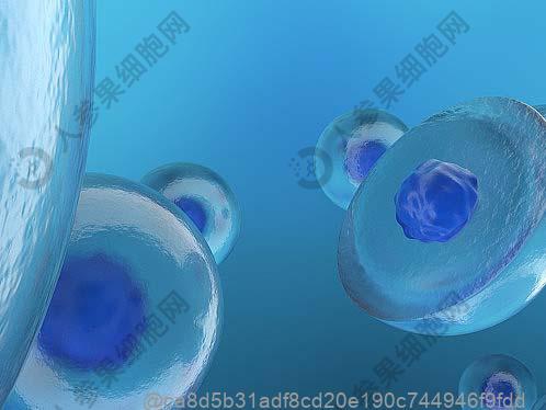 去医院检查艾滋病多久出结果