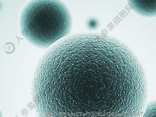 超声甲亢和甲减的区别