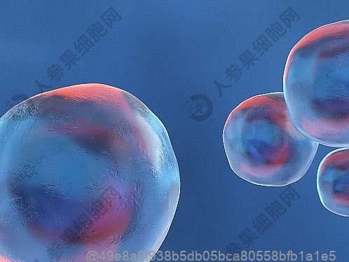 甲亢病人能不能运动