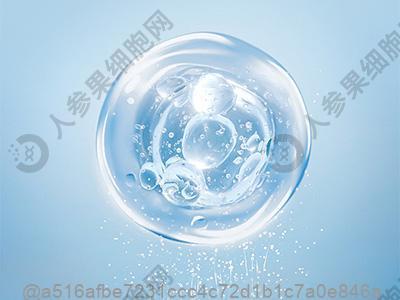 野外作业前打干细胞吃东西要考虑啥？便携营养