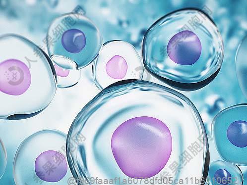 5年前肝功能检查正常值是多少