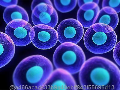 男性必做的肿瘤标志物检查