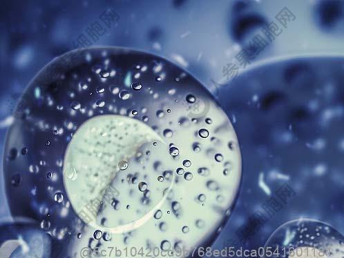 正兴肺部ct检查一次多少钱